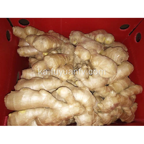 საჰაერო გამხმარი Ginger 2018 ახალი Crop